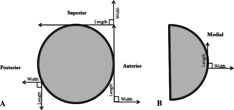 Fig. 1A–B