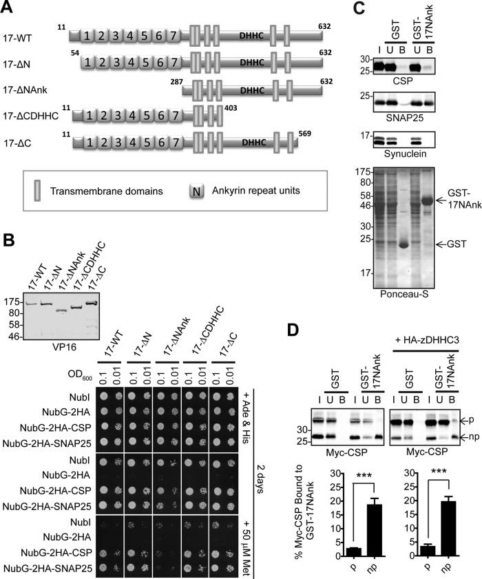 FIGURE 3: