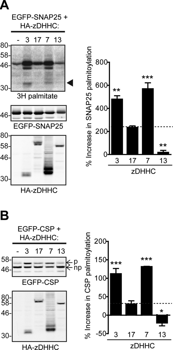 FIGURE 6: