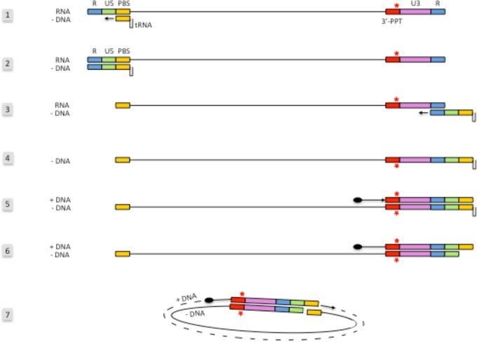 FIG 2 