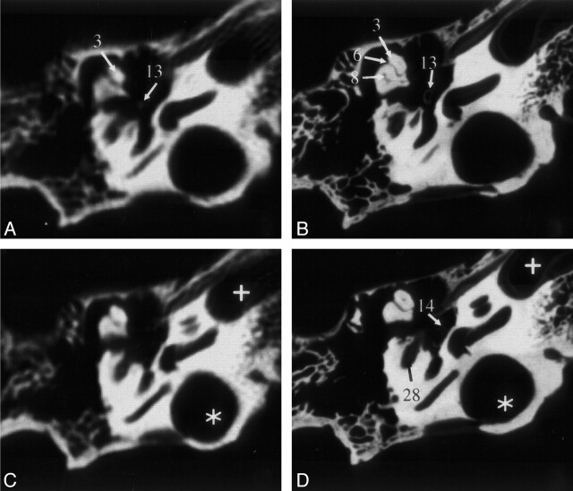 Fig 2.