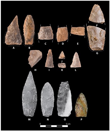 Fig. 5