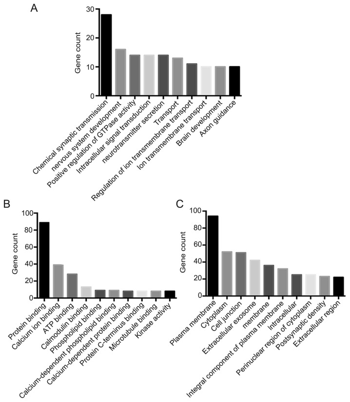 Figure 2.