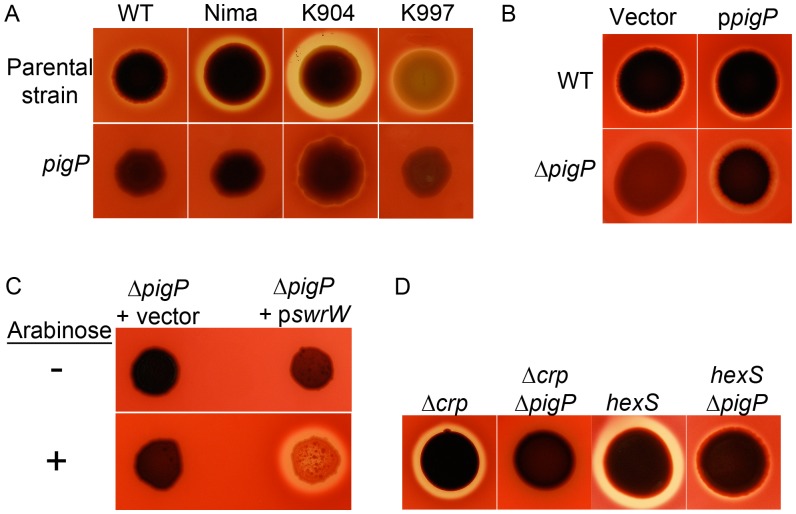 Figure 6