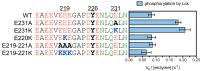 Figure 6—figure supplement 1.