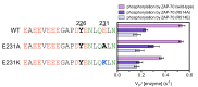 Figure 7—figure supplement 9.
