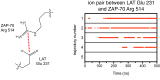 Figure 7—figure supplement 6.