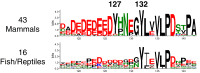 Figure 5—figure supplement 5.