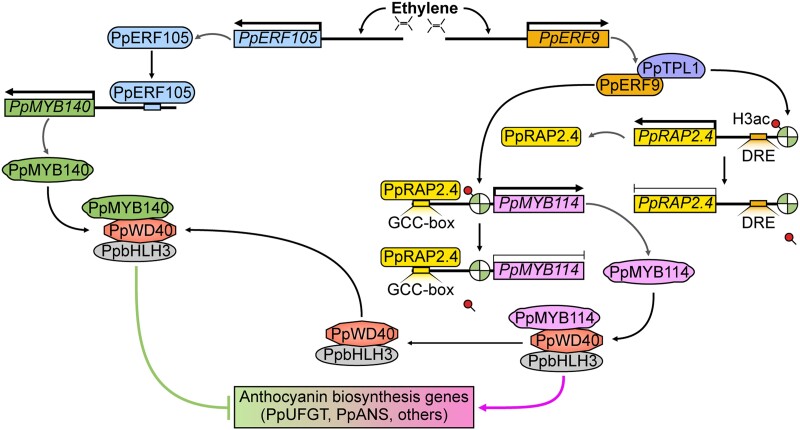 Figure 10.