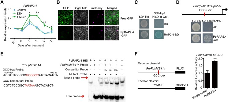 Figure 3.