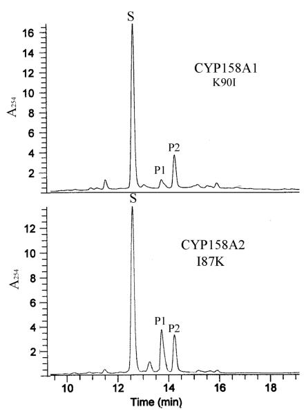 FIG.2