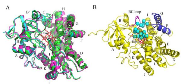 FIG. 3