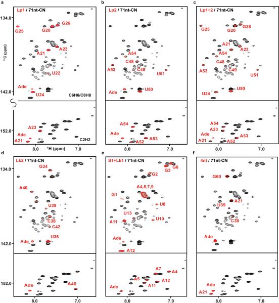 Extended Data Figure 4