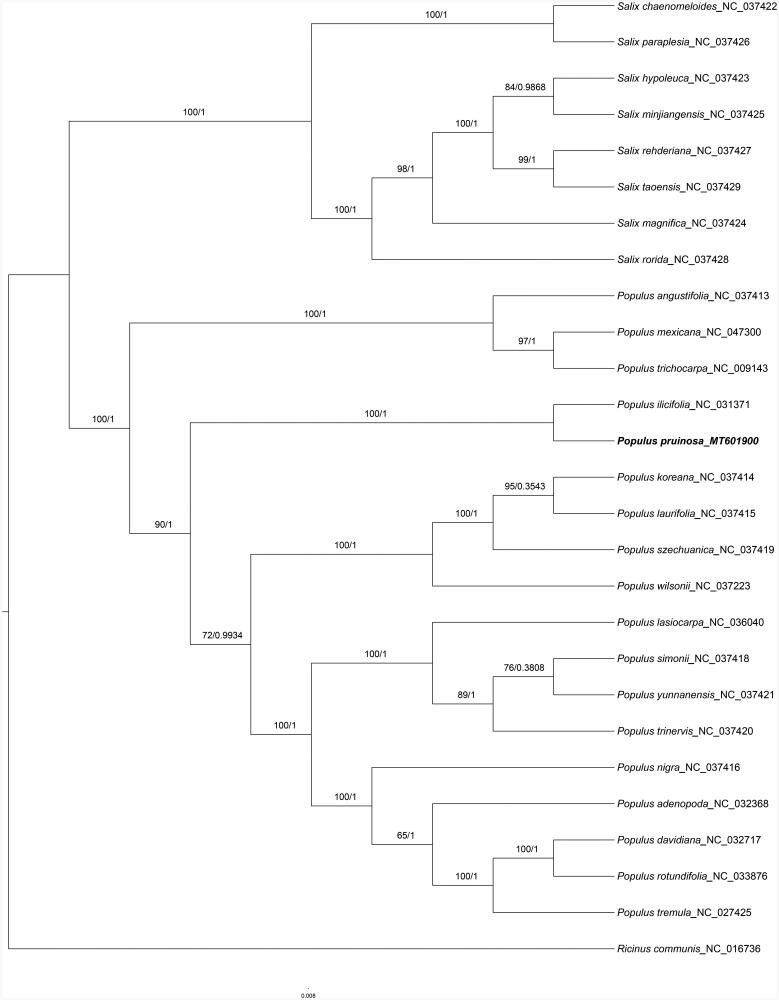 Figure 1.