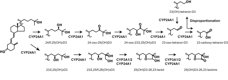 Figure 7
