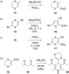 Scheme 5