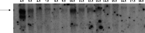 Figure 3.