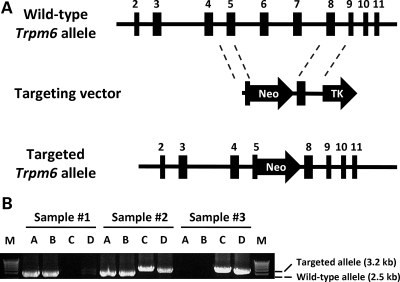 Figure 5.