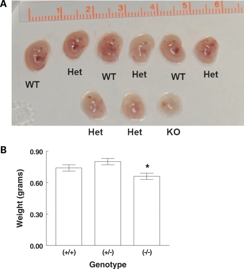 Figure 1.