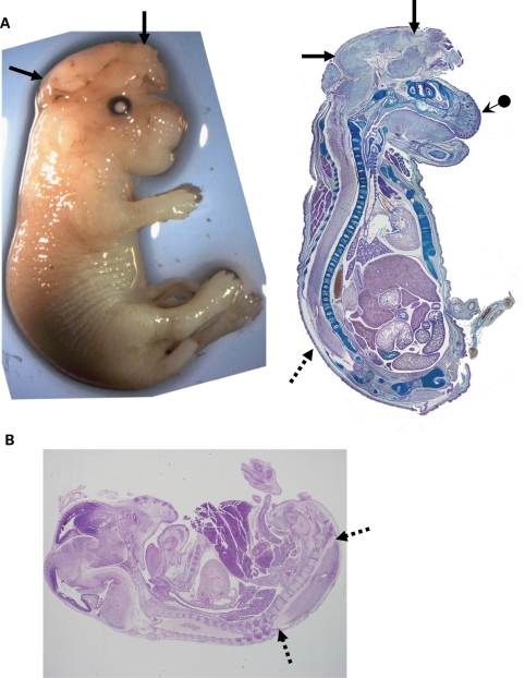 Figure 2.