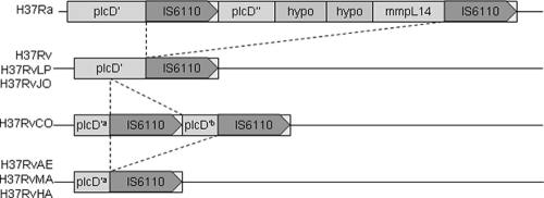 FIG. 2.