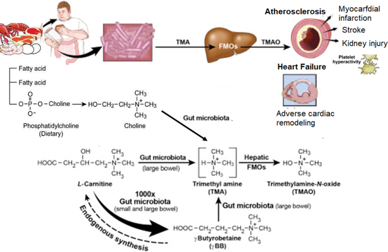 Figure 3: