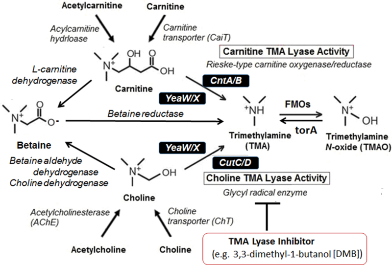 Figure 5.