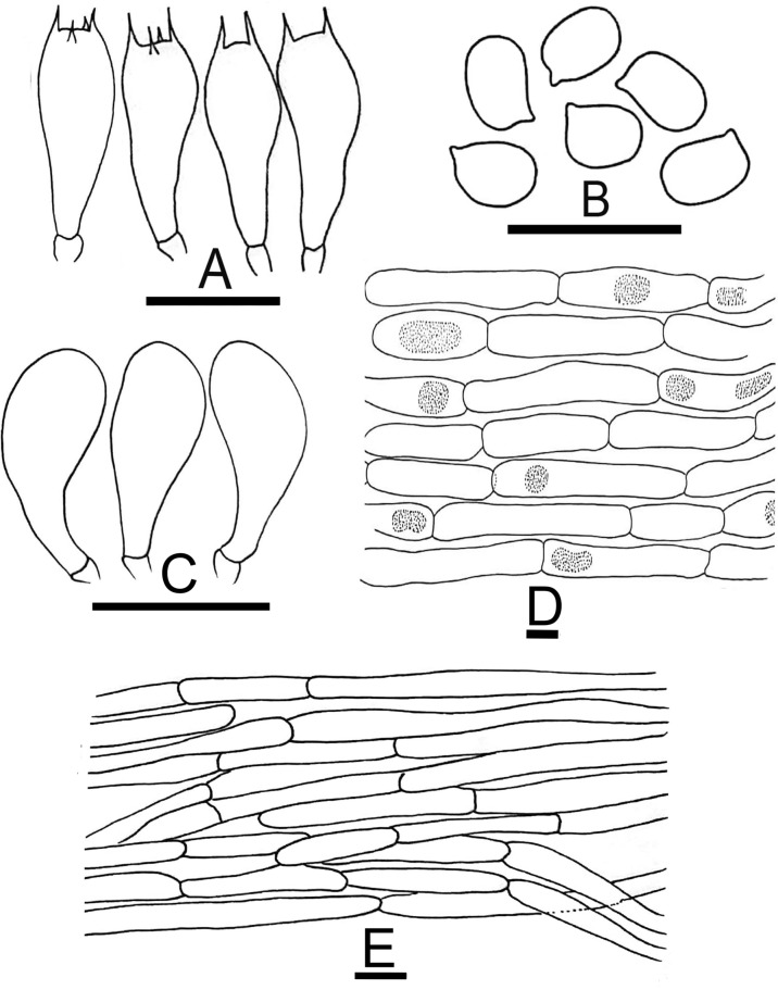 Figure 17