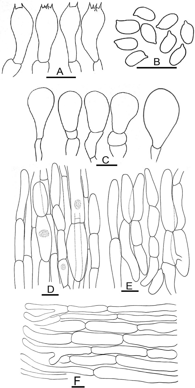 Figure 13