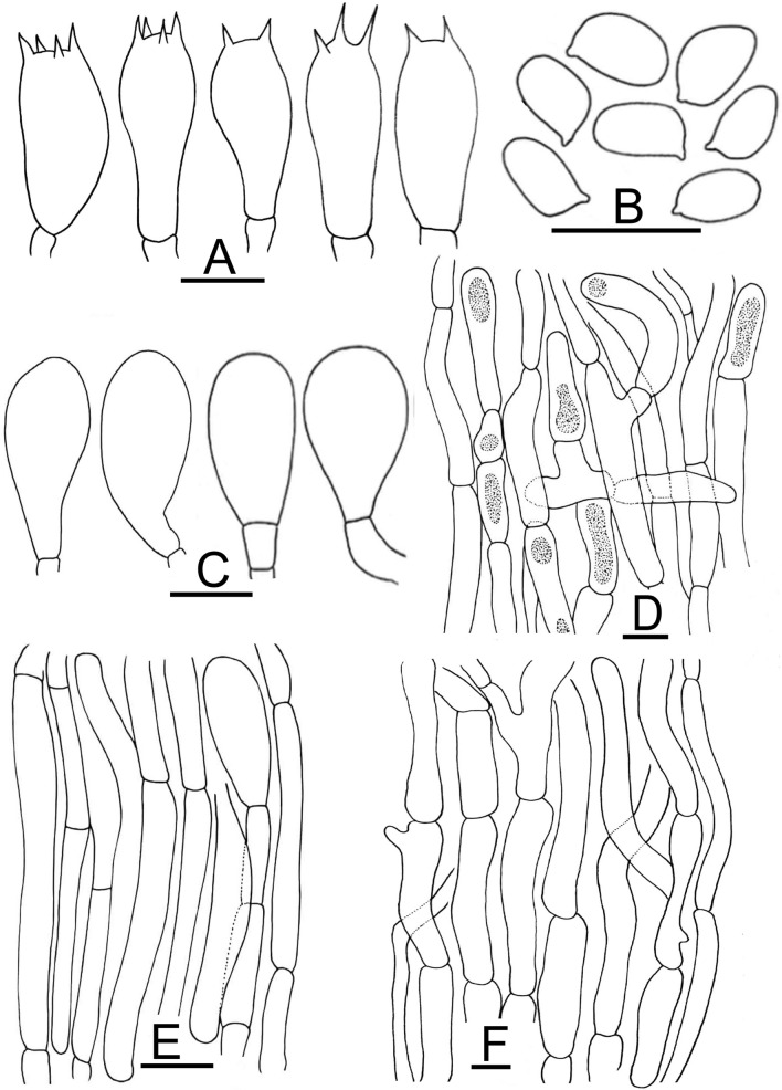 Figure 10