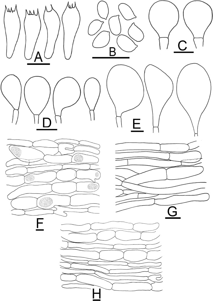 Figure 18