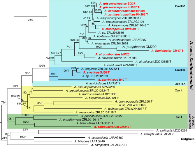 Figure 2