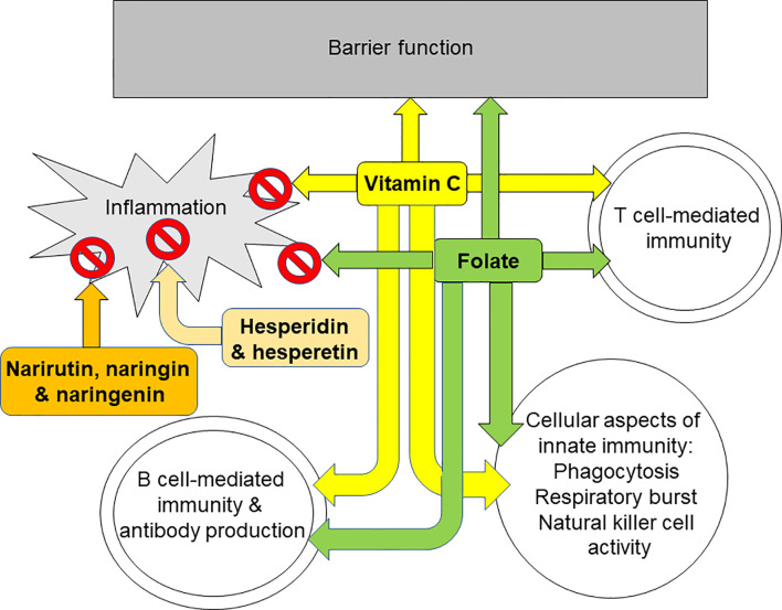 Figure 4