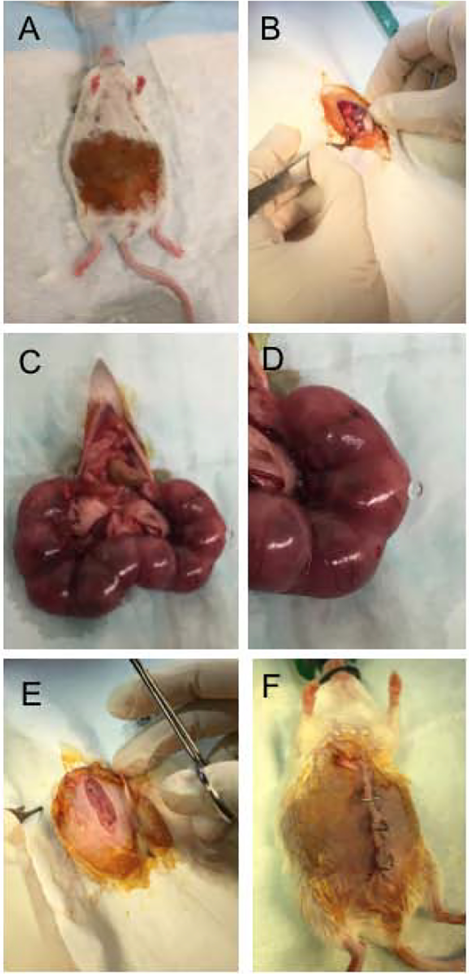 Figure 1: