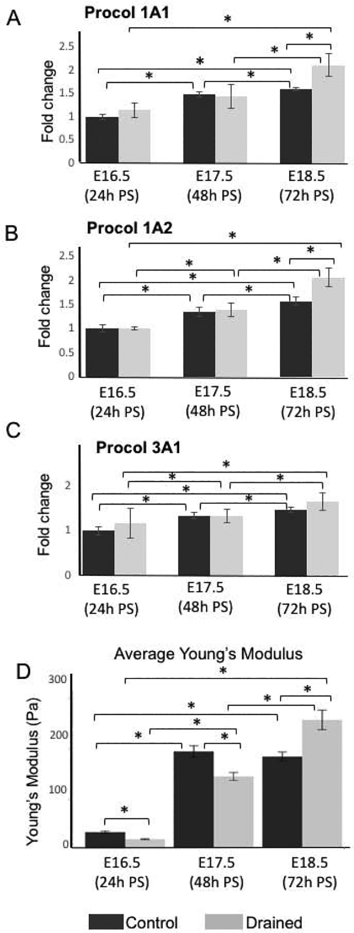 Figure 6: