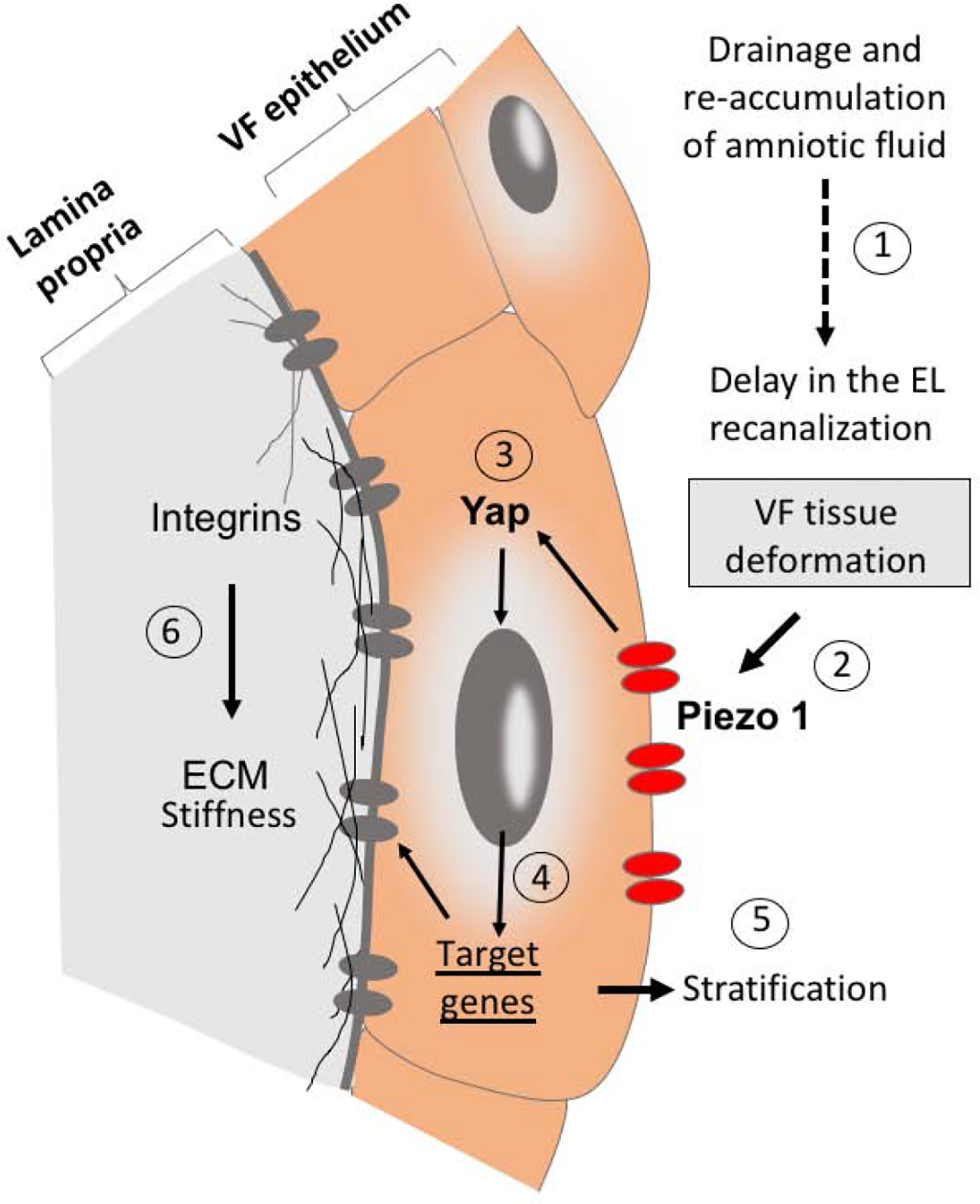 Figure 9: