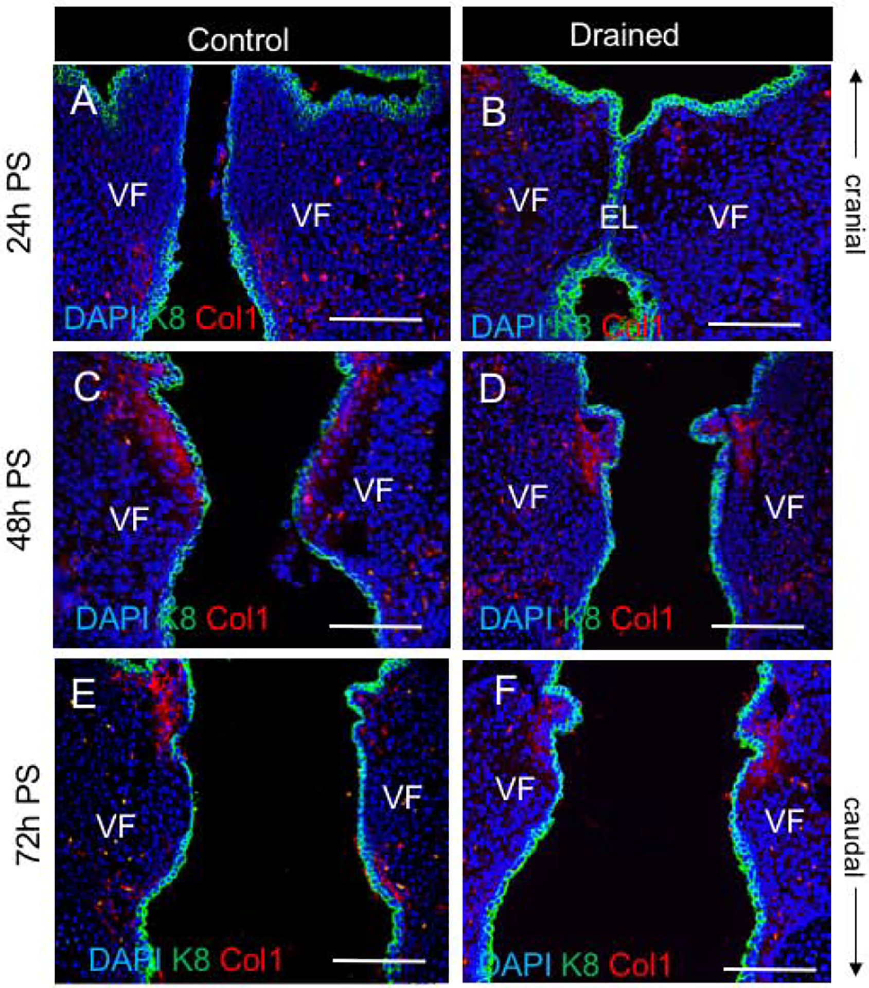 Figure 5: