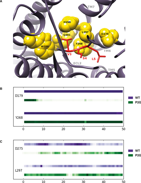 FIGURE 7.