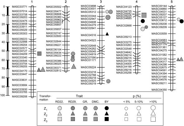 Figure 1.—