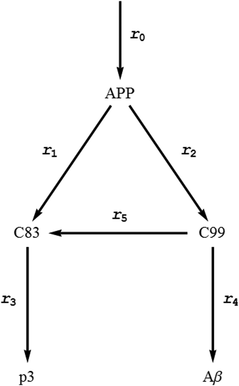 FIGURE 1.