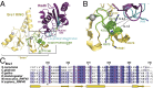 Fig. 3.