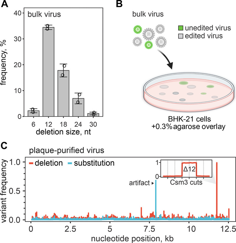 Fig. 3.