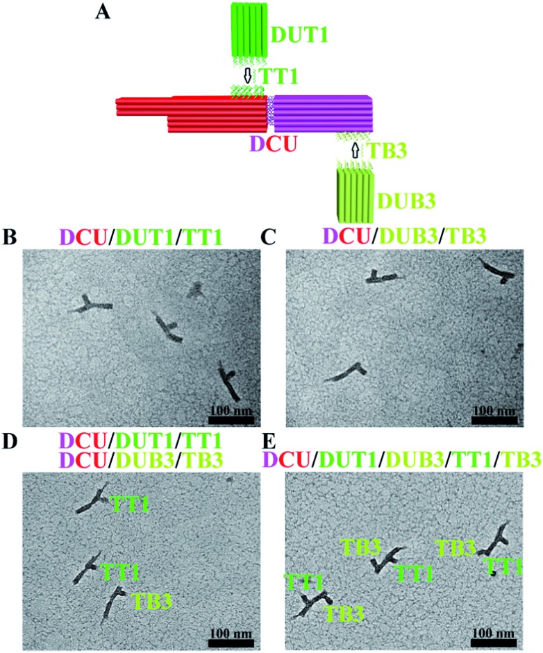 Fig. 4