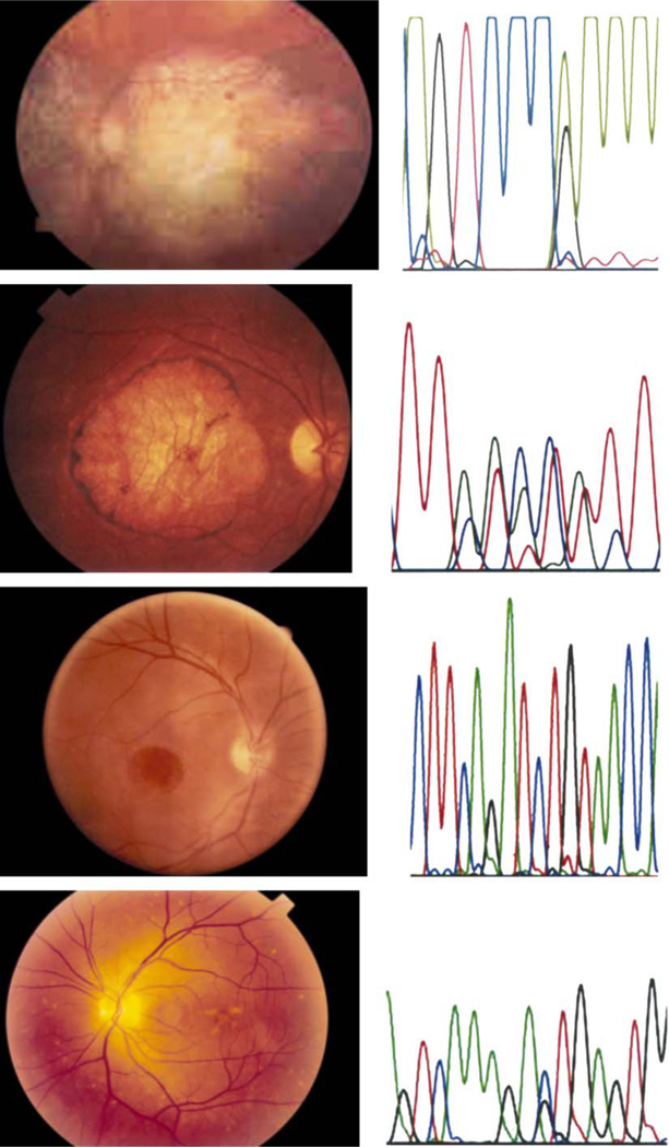 Fig. 1