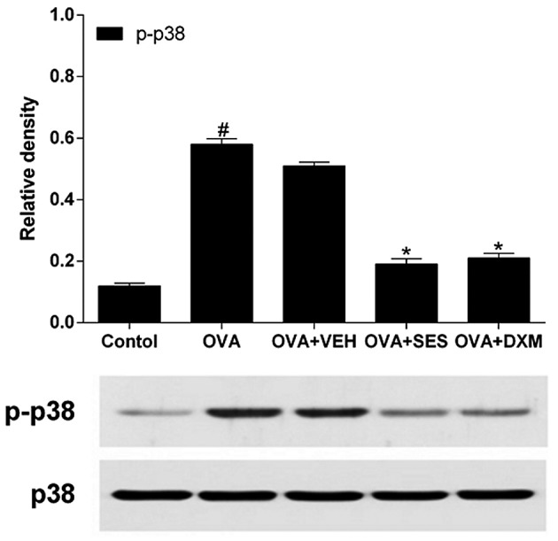 Figure 6.