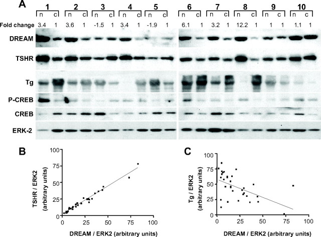 Fig. 9.