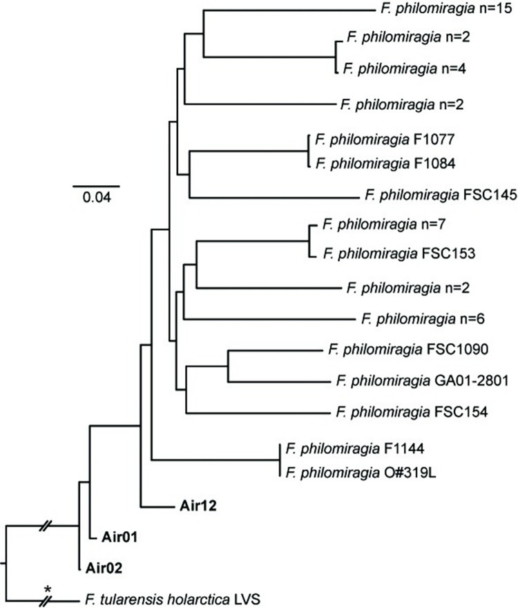 Fig 6