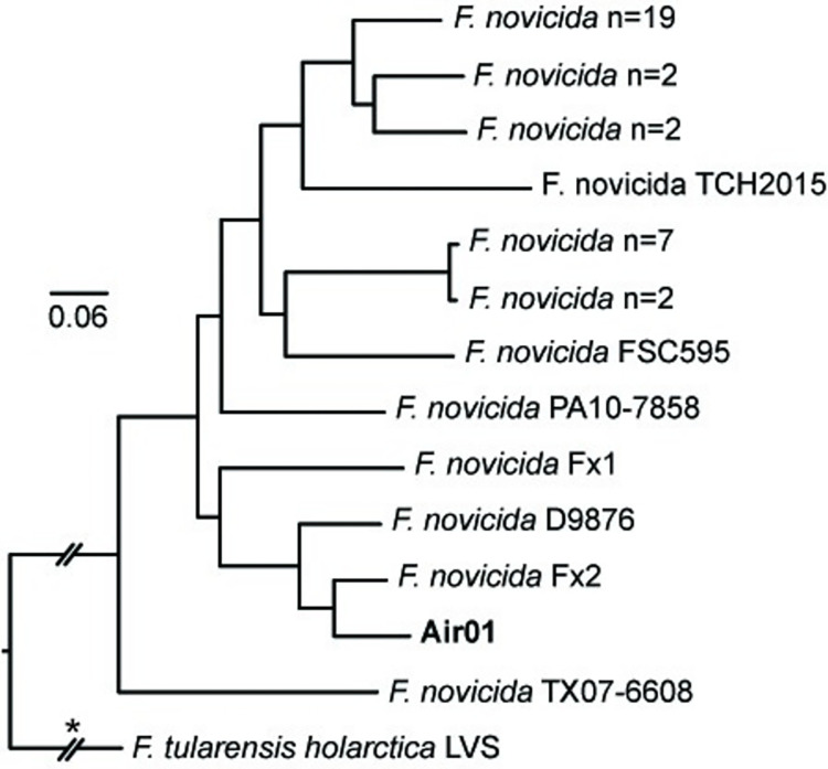 Fig 5