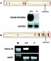 <b>Figure 7</b>