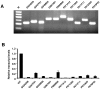 <b>Figure 6</b>